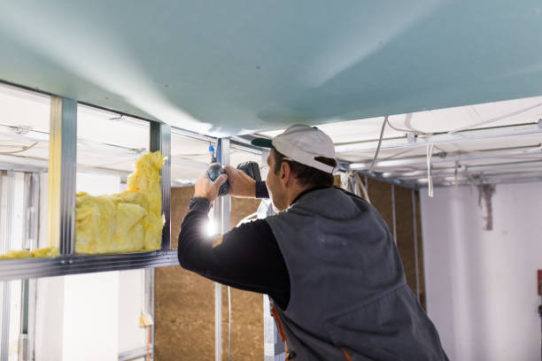 Best Commercial Insulation in Fountain Green, UT